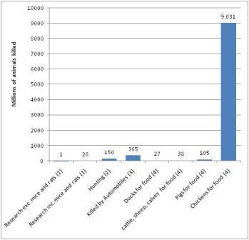 Animals in Food, Hunting and Research
