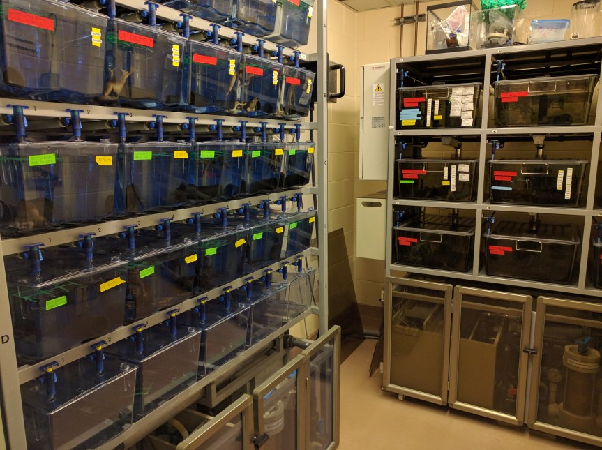 Fish Facility at the University of Ottawa