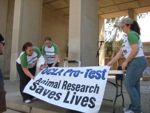 UCLA Pro-Test 1 UCLA Pro-Test committee set up