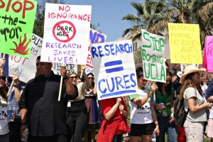 Marchers Gather Marchers gather on corner of Westwood Ave.