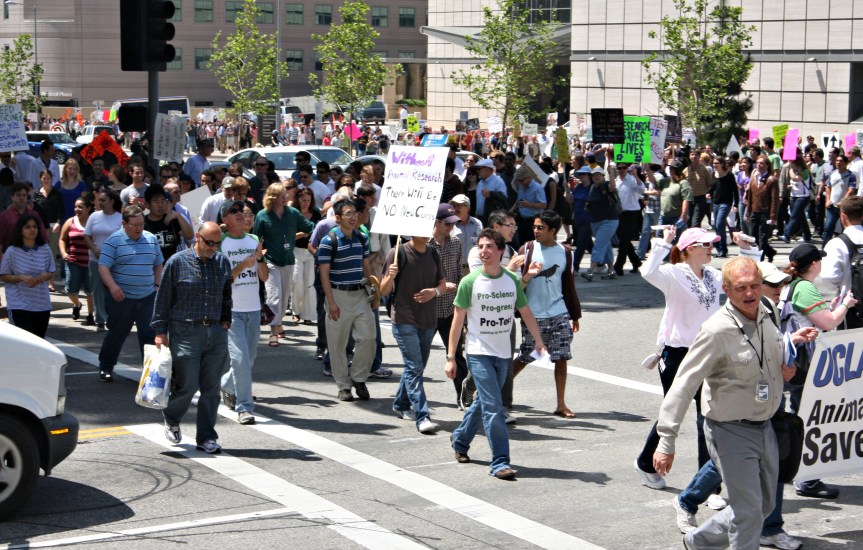 Pro-Test rally 2 Pro-Test march snakes along Westwood