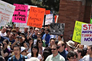 The Pro-Test March The Pro-Test March