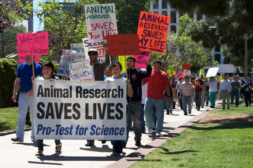The marchers begin to walk towards the center of the UCLA