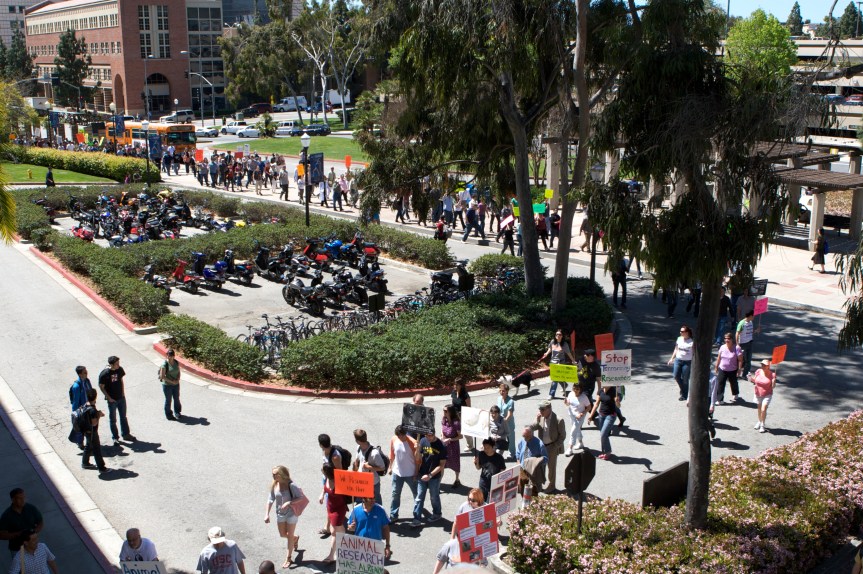 Those at the front were unable to see the back of the rally!