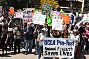 Students Rallying at UCLA