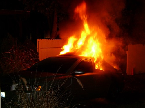 Animal rights extremists torched my car in 2009