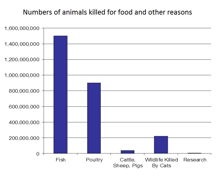 Animal testing Perspective in Research