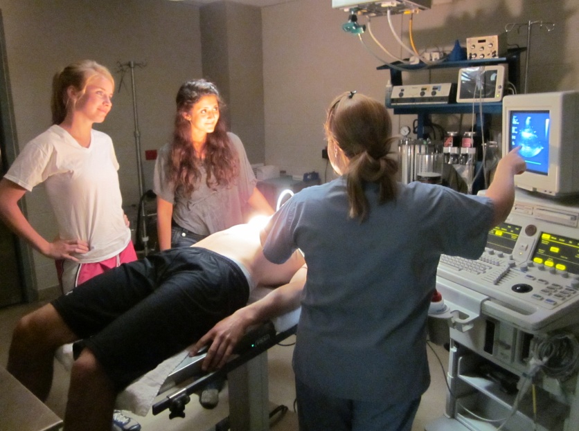 Echocardiography demonstration on human volunteer