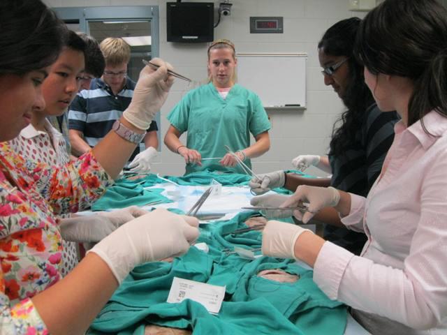 Students pick up instruments and learn a continuous suture