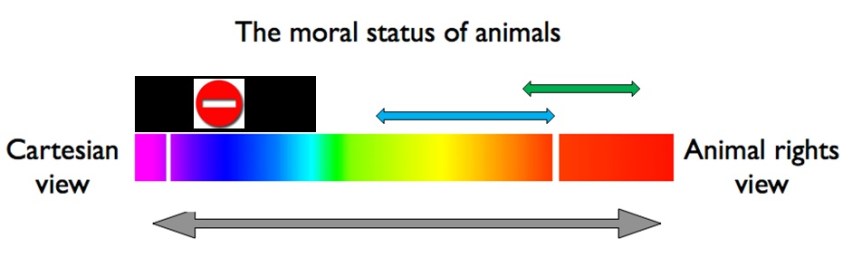 animal welfare model of animal research 2