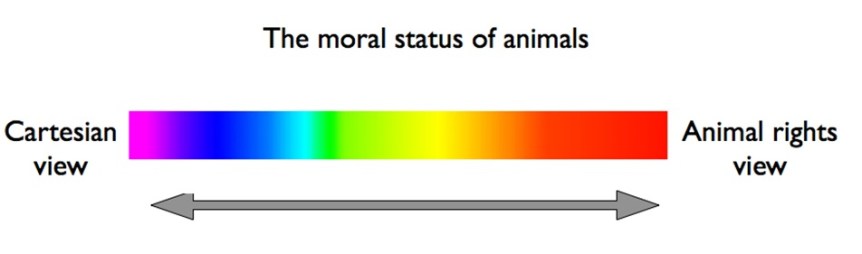 animal welfare model of animal research