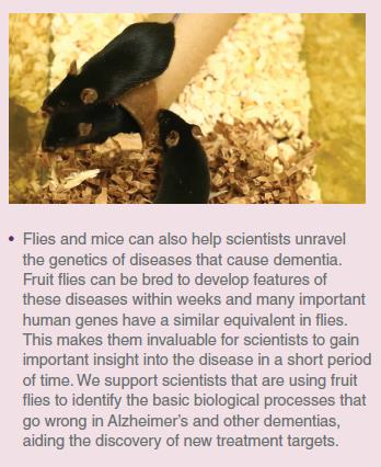 Animal Research is Important Animal Research is Important