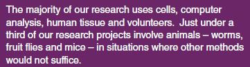 Animal Research is only used where there are no alternatives