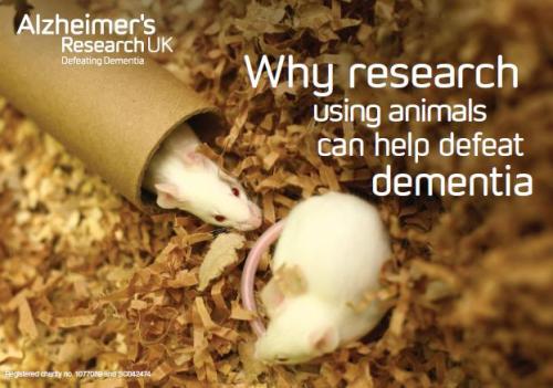 Why research using animals can help defeat dementia Click to Download Pdf