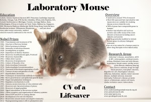 Laboratory Mice are the most common species used in research