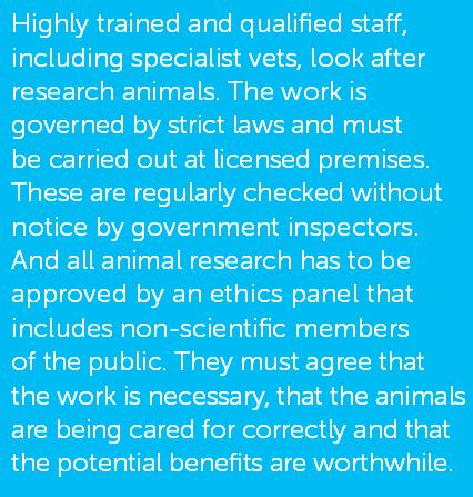 CRUK animal welfare