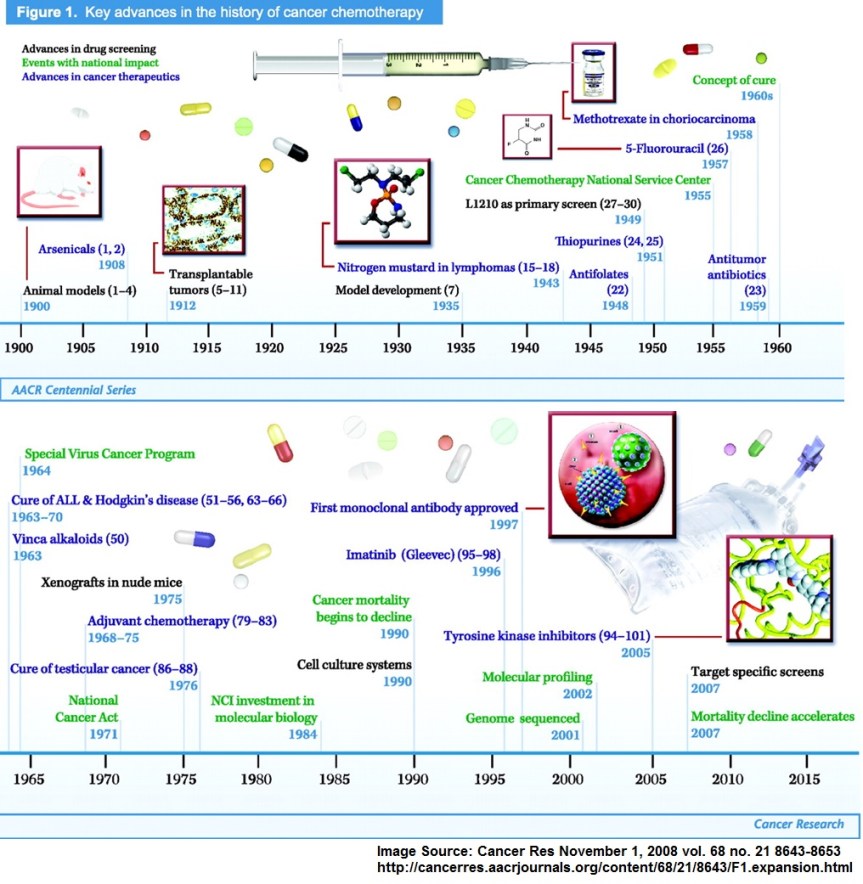 Chemotherapy and animal testing