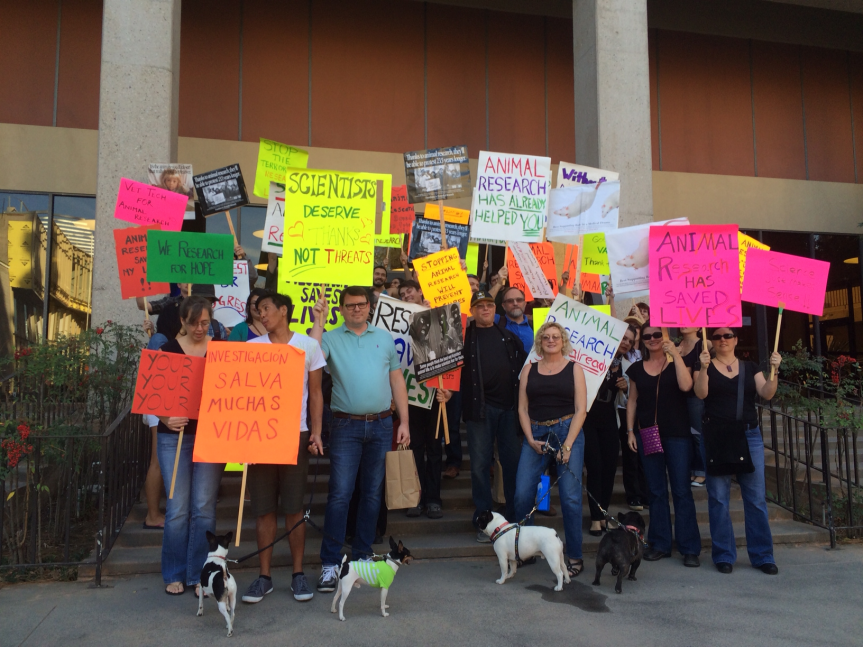 The UCLA community gathering for a counter-demonstration.