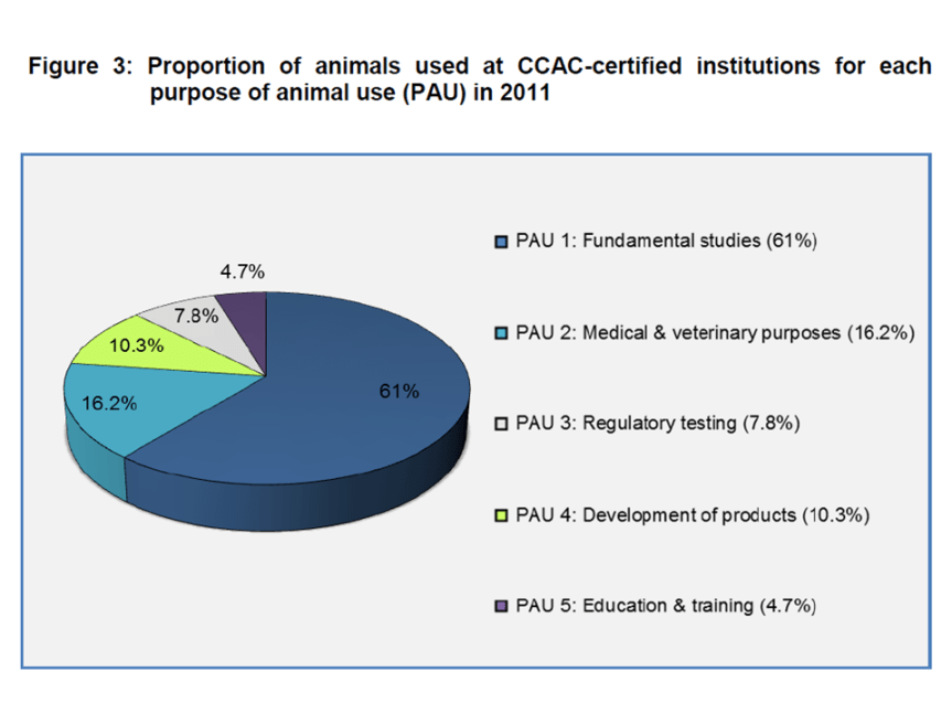 Types of animal research in canada 2011