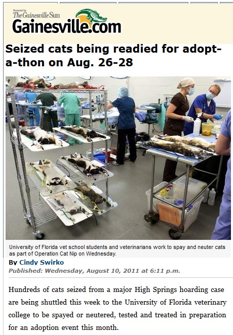 cat animal testing image