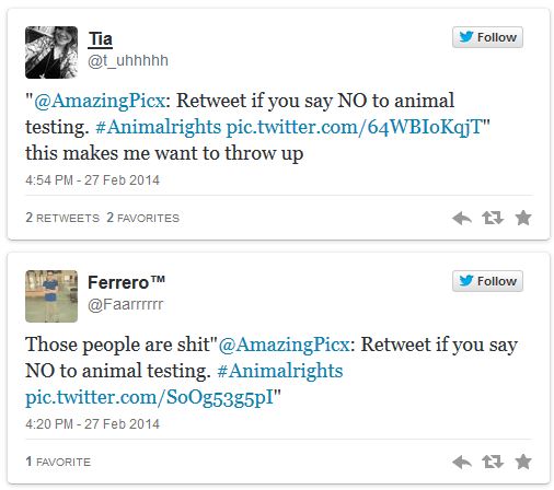 cat tweets on animal testing