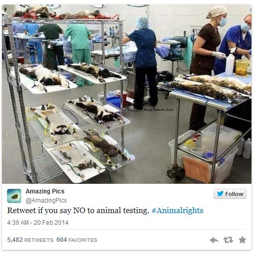 Twitter retweet no to animal testing