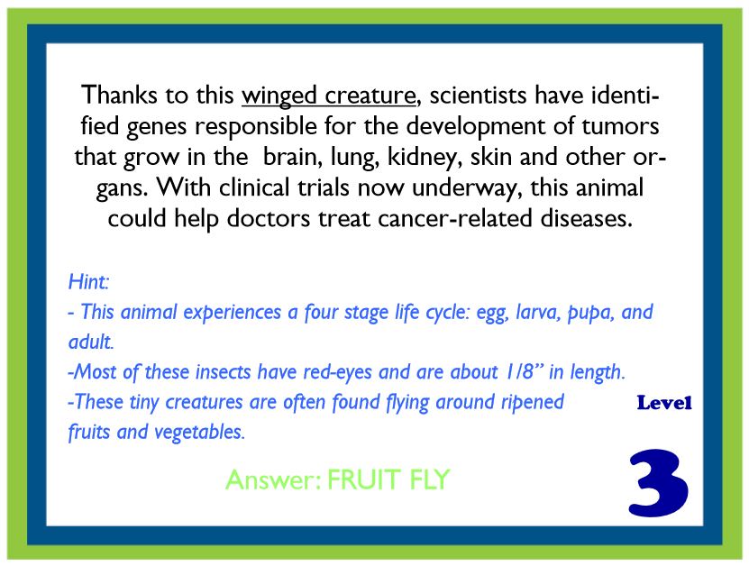 Trivia game Americans for Medical Progress