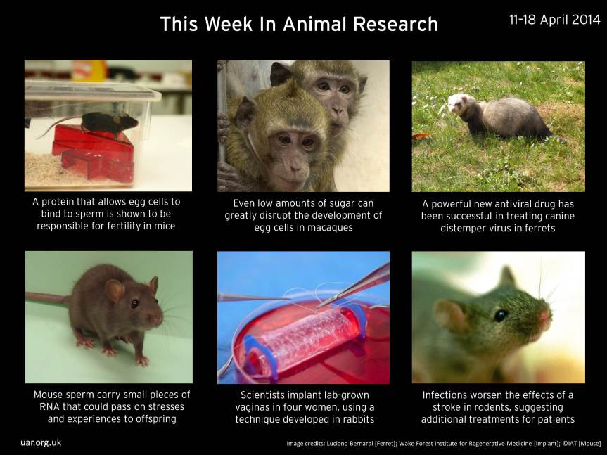 The Week in Animal Research