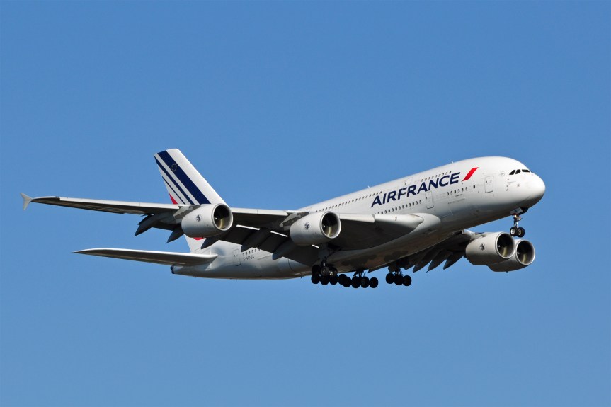 Air France primates