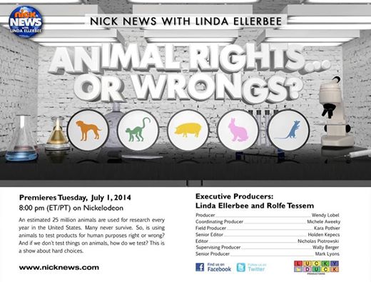 animal rights or wrongs