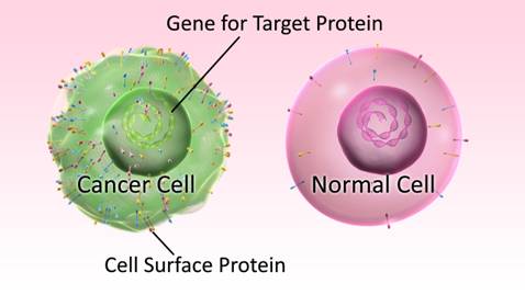 Unique cell surface proteins on a cancer cell, which can be detected using antibodies.  