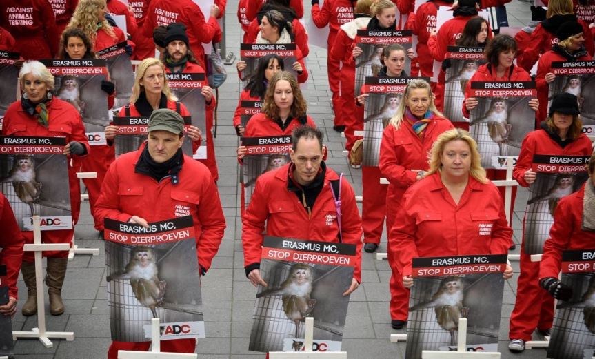 protest animal rights labradors