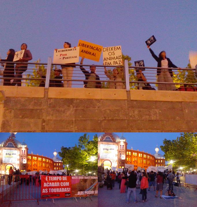 Interestingly, both a review from 2012 and the 2010 Eurobarometer conclude that the majority of the Portuguese population is favourable to animal experimentation for Biomedical Research purposes, most of them regardless of the animal species used. 