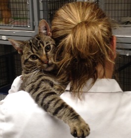 Amy Davidson with Cat