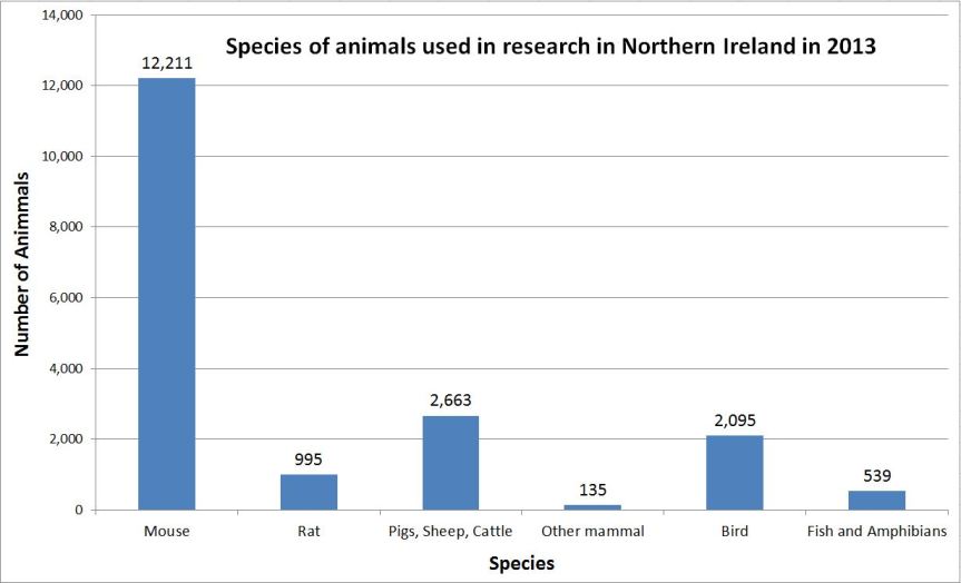 animal testing statistics northern ireland