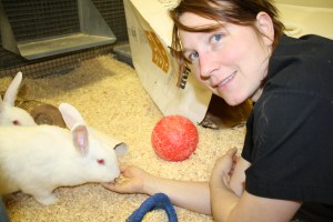 Animal Tech with Rabbit