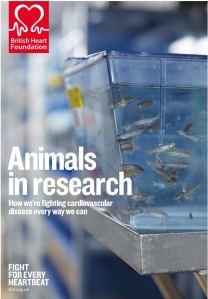 BHF's leaflet on animal research