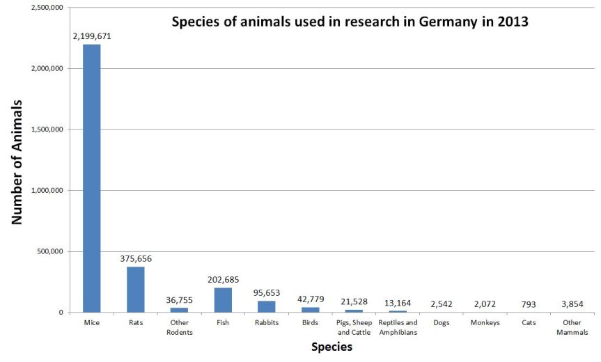 Image Credit: www.speakingofresearch.com