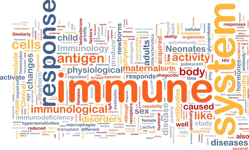 Background concept illustration Immune system health medical word cloud wordcloud