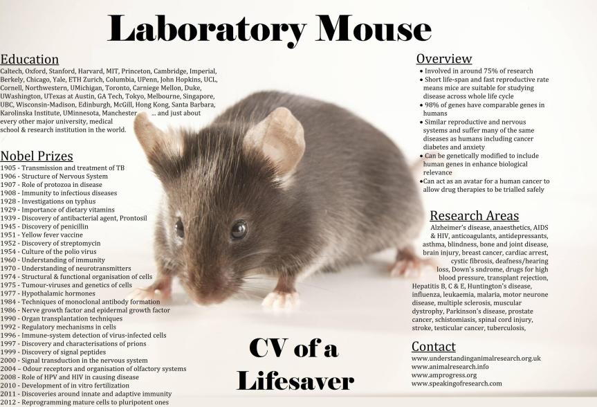 Research in mice has led to many medical advances - most recently the development of PD-1 inhibitors for treating cancers https://speakingofresearch.com/2015/05/30/immunotherapy-lung-cancer-pd-1-knockout-mice/