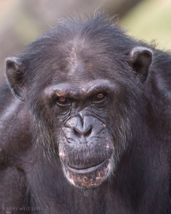 Photo credit: Kathy West