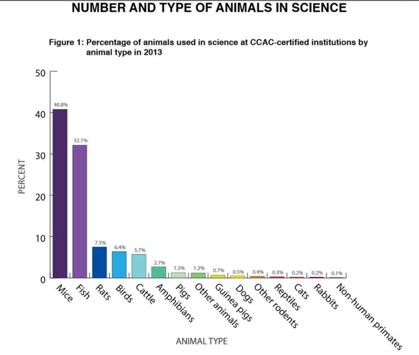 Animals used in research in Canada 2013 by species