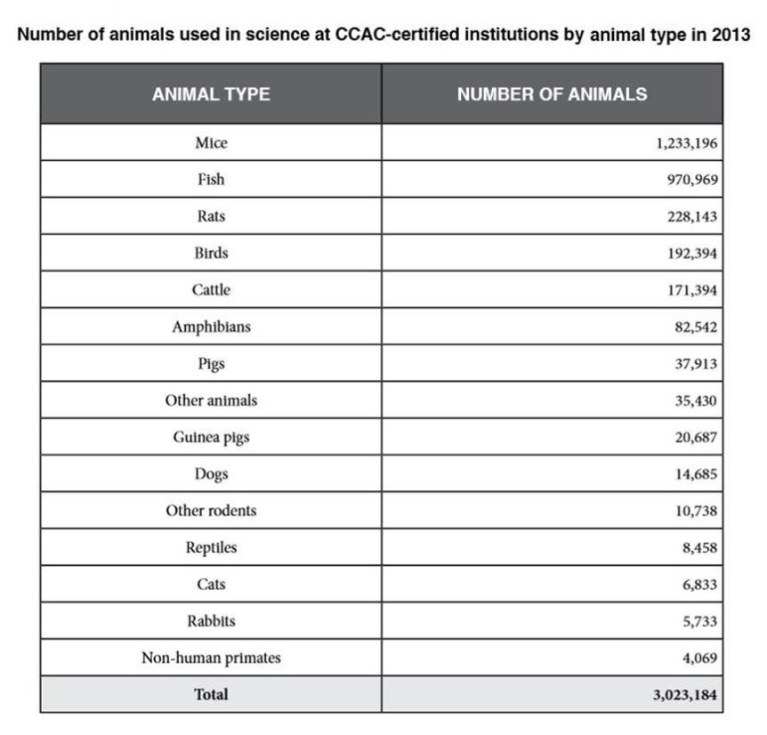 Animals Used in Research in Canada in 2013