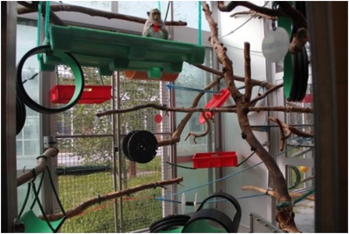 Image of the monkey housing at AFL