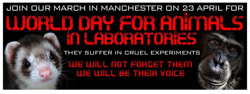 An advertisement for Saturday’s march. Note the image of a chimpanzee – a species banned from use in research in the UK since 1986 