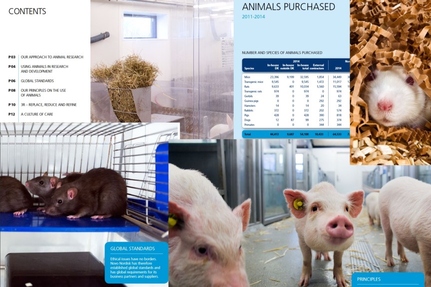 Montage of images from the Novo Nordisk brochure on its animal research. Click to Enlarge