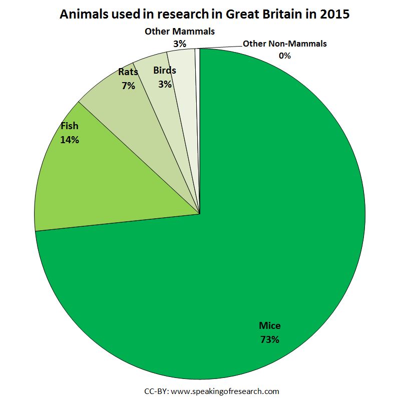 Animal pexperiments in research and testing in Great Britain 2015 by species