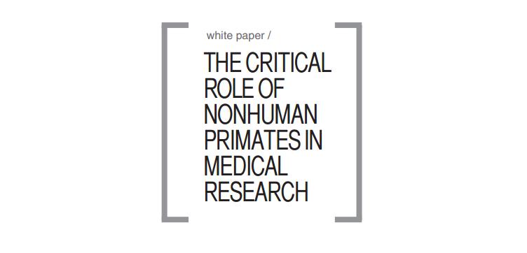 critical-role-of-non-human-primates-in-medical-research