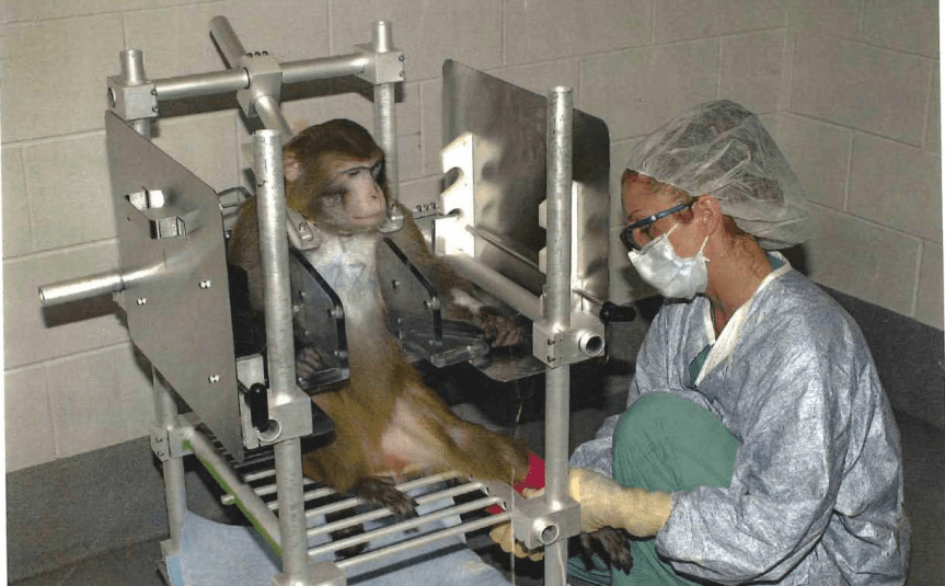 lisa-veterinary-scientist