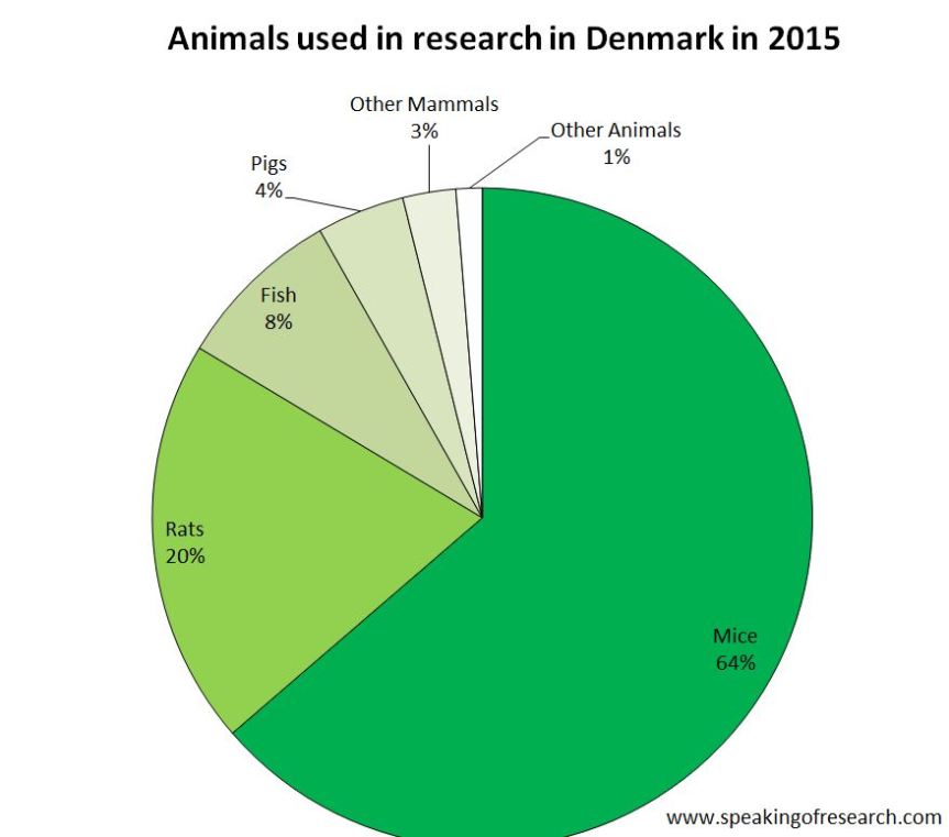 Mice, rats, fish and birds accounted for over 96% of research in Denmark.